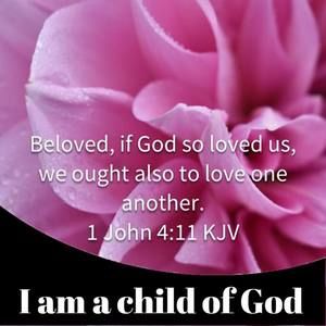 Meet your Posher, Betty j